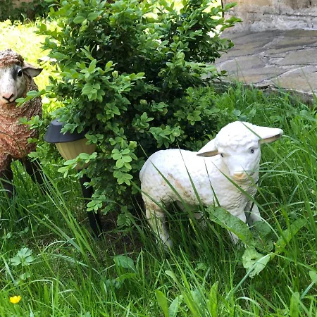 Гостевой дом Garage *