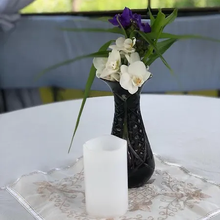 Guest house Garage Yaremche